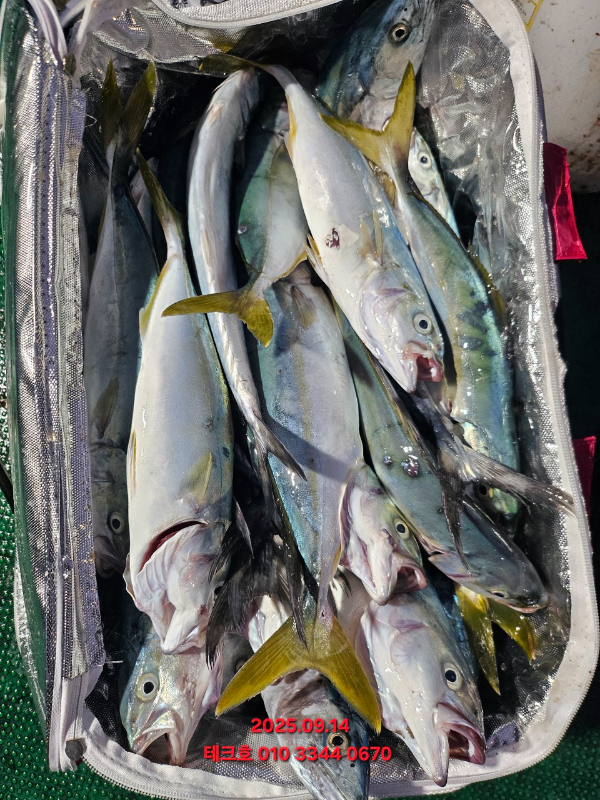 KakaoTalk_20250914_193235368_04.jpg