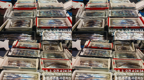 1756846339693-tile.jpg