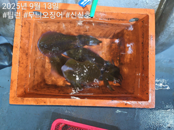 신신낚시 강구점 신신호_사진_20250913_11.jpg