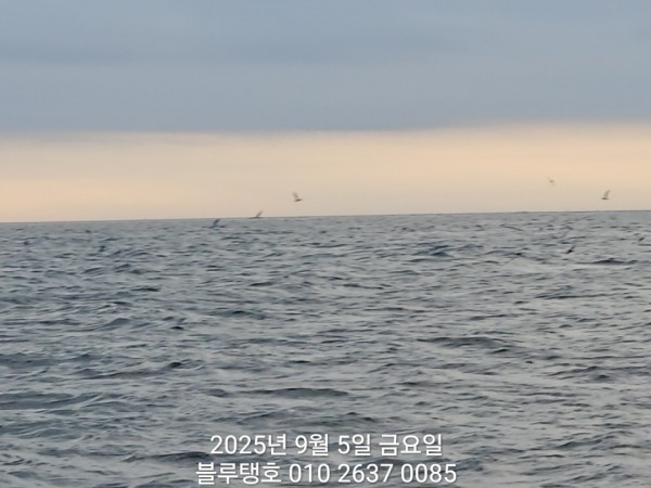 20250905_062716.jpg