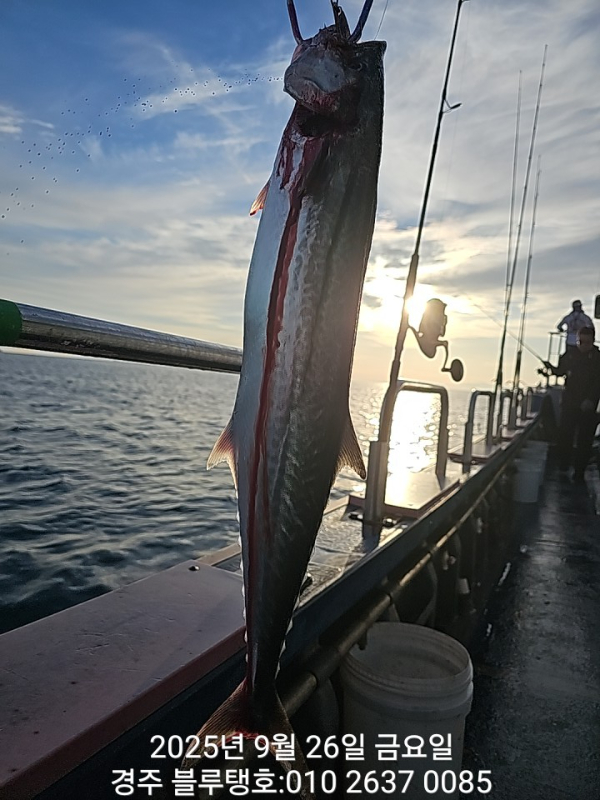 20250926_065757.jpg