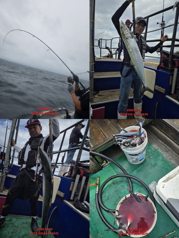 KakaoTalk_20250928_142940747-tile.jpg