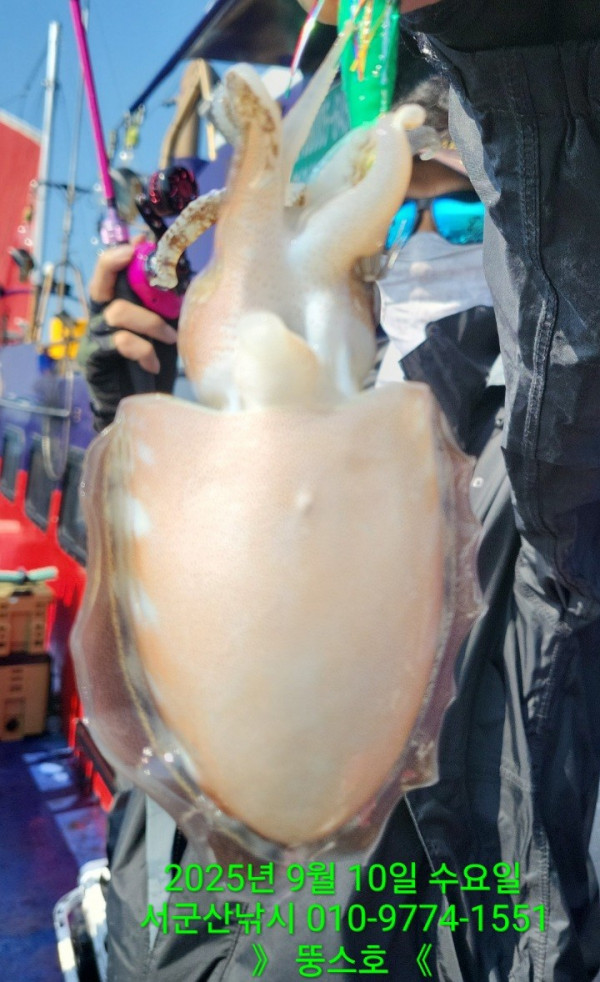 군산 선상낚시, 바다낚시 출조 전문 ☆서군산낚시☆_사진_20250910_8.jpg