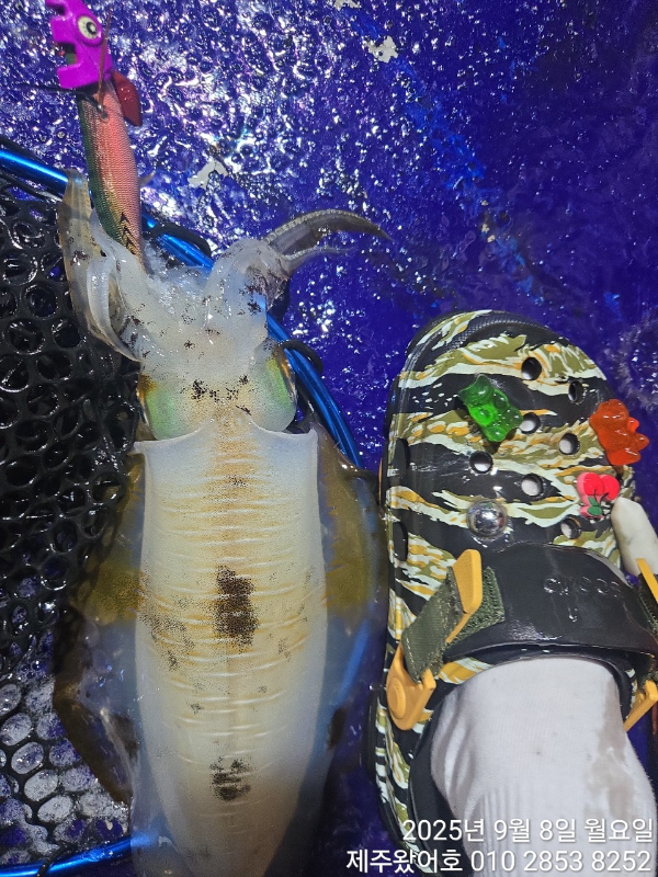 제주왔어호_사진_20250909_33.jpg