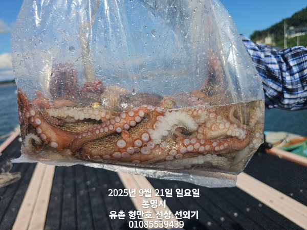 109deb146fc580420d0b4bbad28ca463.jpg