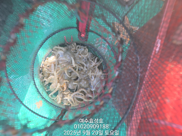 10c93d88da0991143bba91ade62bf32e.jpg