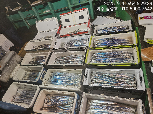 KakaoTalk_20250901_152431635_17.jpg