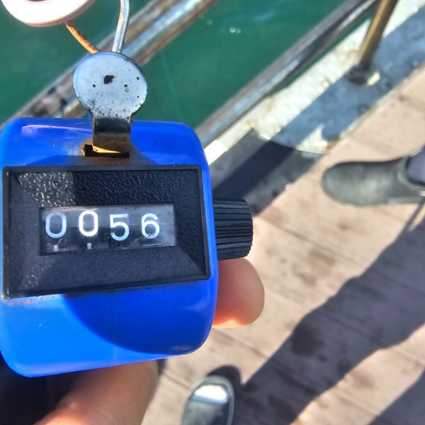 마검포 대한호(VIP)_사진_20250921_6.jpg