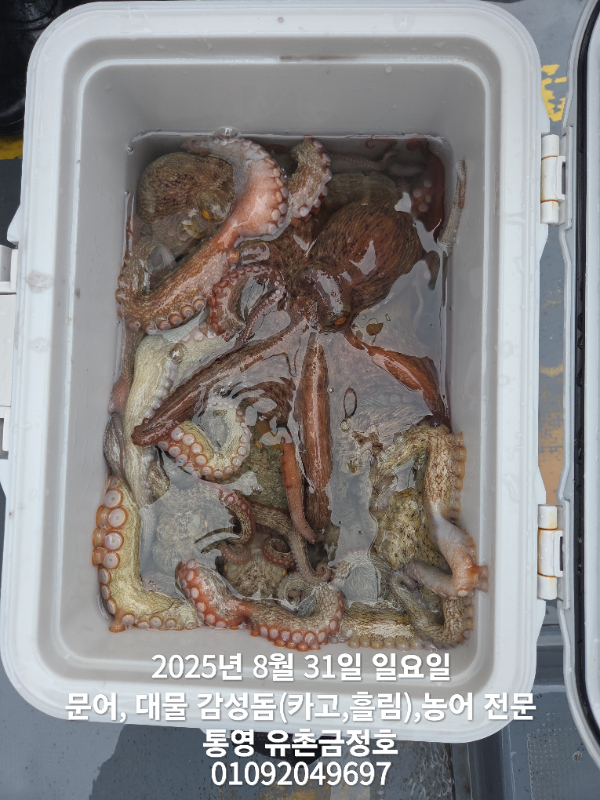 12632012da655ac3985cf7f4d7f54633.jpg