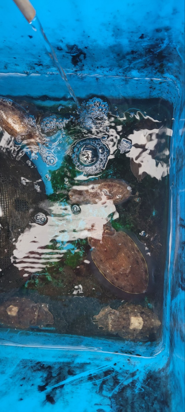 예지퀸호 농어외수질&어초낚시 경기인천권_사진_20250918_7.jpg