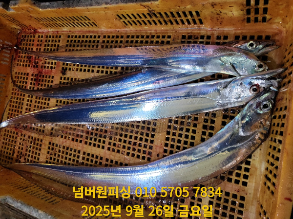 KakaoTalk_20250927_044230459_03.jpg