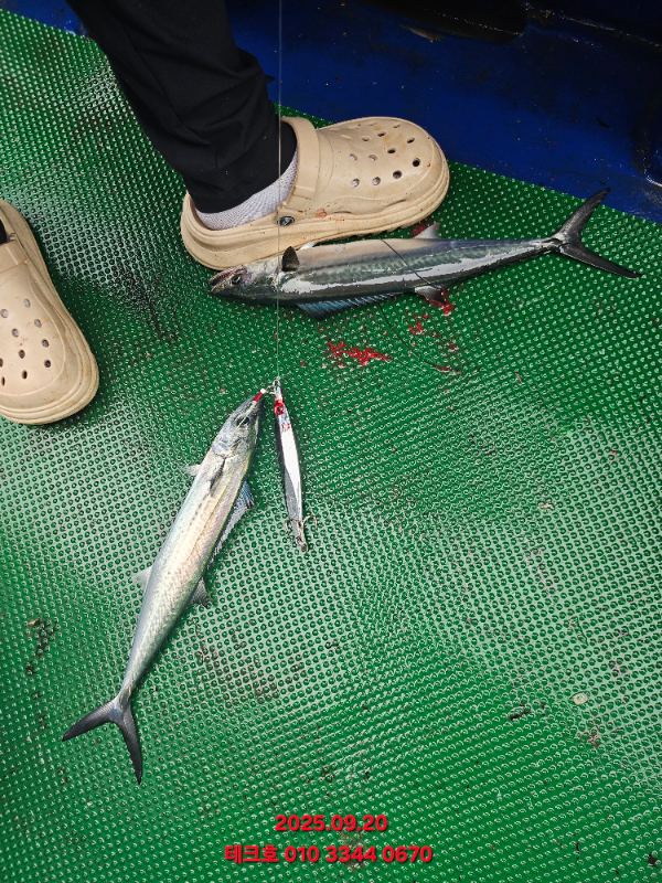KakaoTalk_20250921_091613450_13.jpg