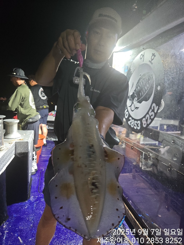 제주왔어호_사진_20250909_17.jpg