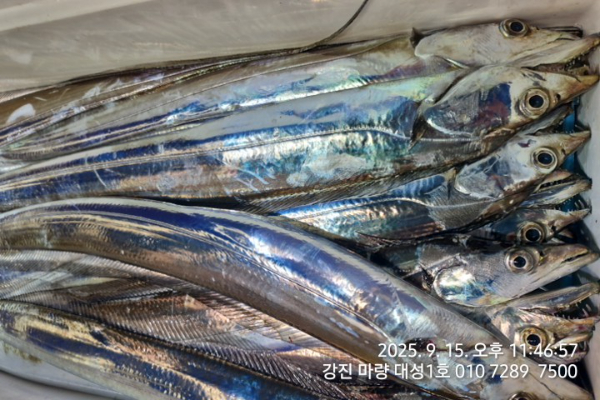 140f4f9a5201359acfa076d47fac4eda.jpg