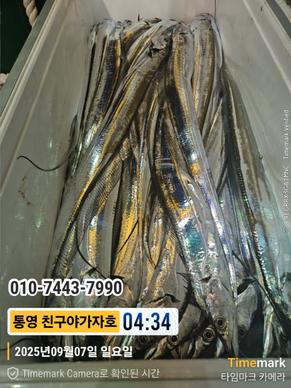 1000028209.jpg