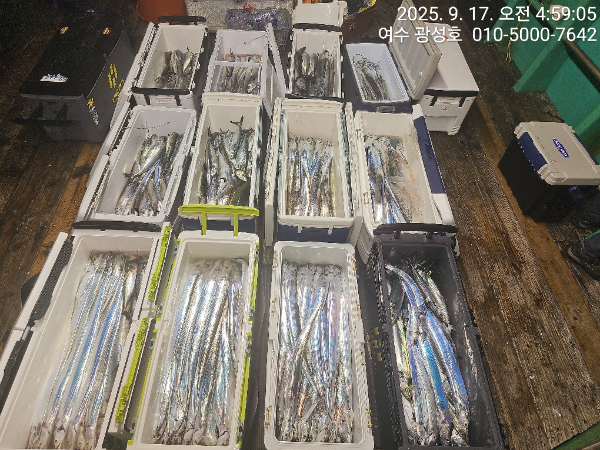 KakaoTalk_20250917_134708005_15.jpg