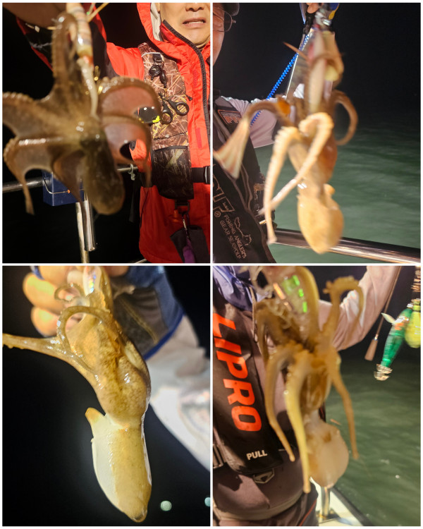 KakaoTalk_20250927_182857896_02.jpg