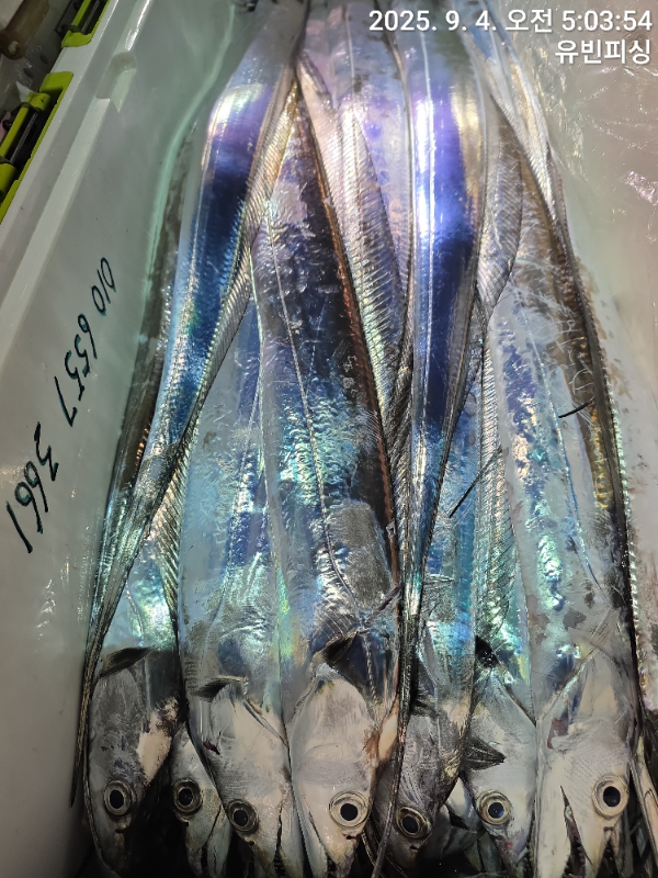 KakaoTalk_20250904_074112558.jpg