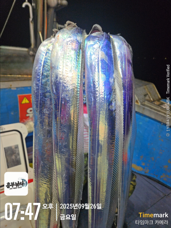 2025-09-26 07.47.56_.jpg