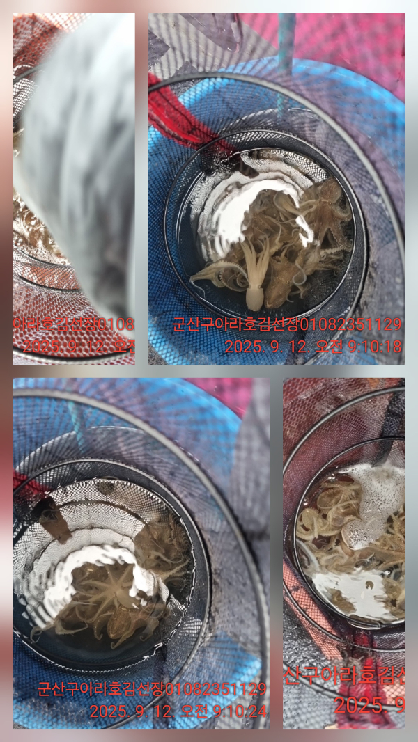 1000051282.jpg
