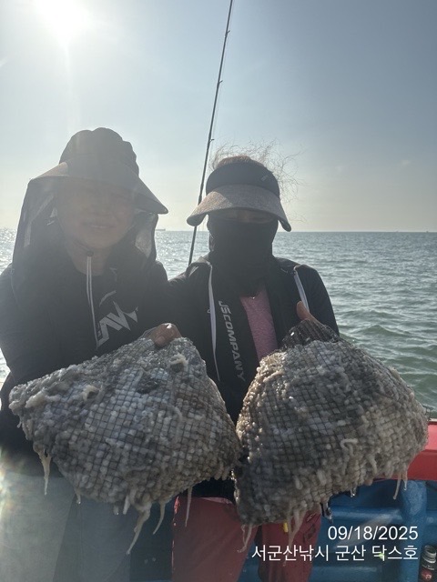 군산 선상낚시, 바다낚시 출조 전문 ☆서군산낚시☆_사진_20250918_10.jpg