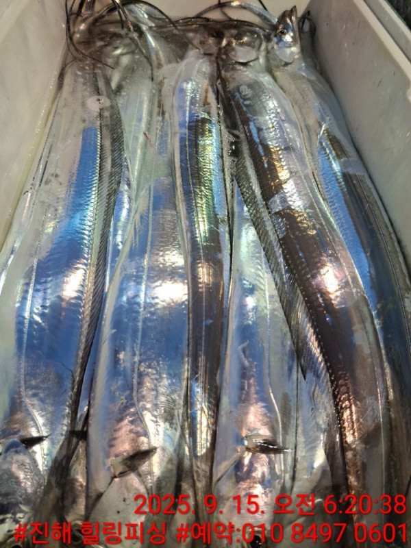 KakaoTalk_20250915_093932123_03.jpg