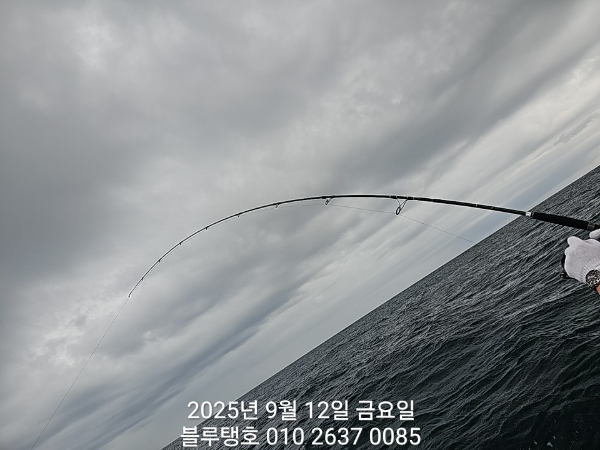 20250912_080335.jpg