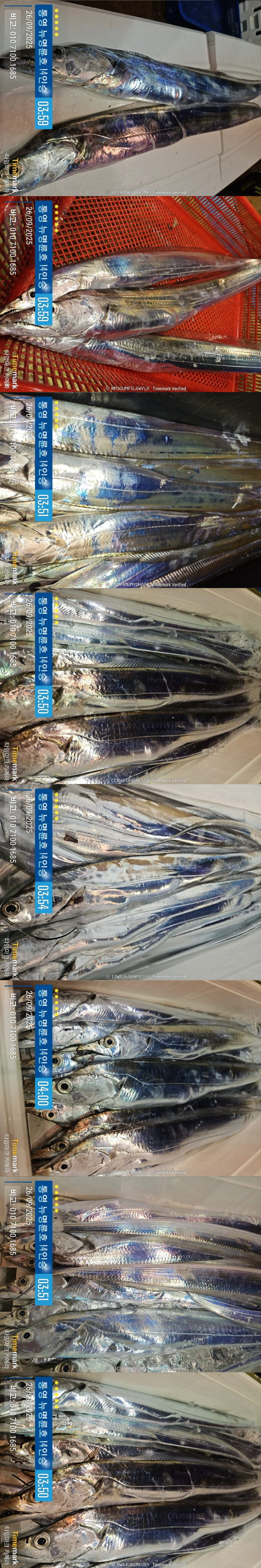 9-26갈치2.jpg