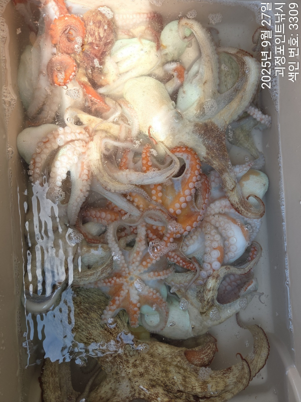 KakaoTalk_20250927_151101128_09.jpg