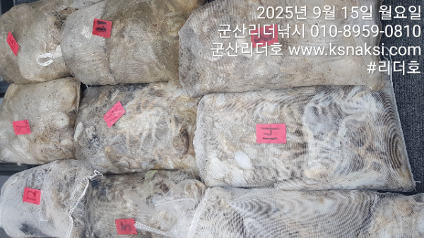 KakaoTalk_20250915_152811058_01.jpg