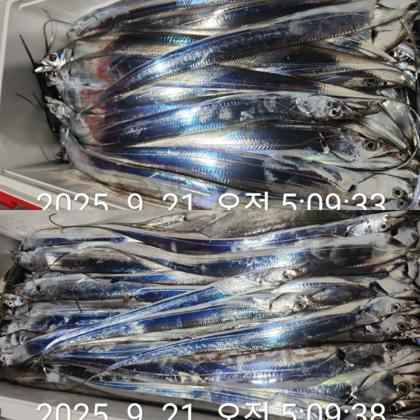 1000072527.jpg
