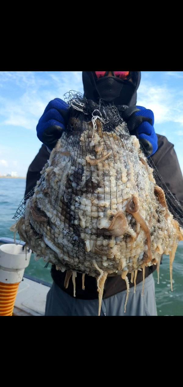 Screenshot_20250930_165637_Video Player.jpg