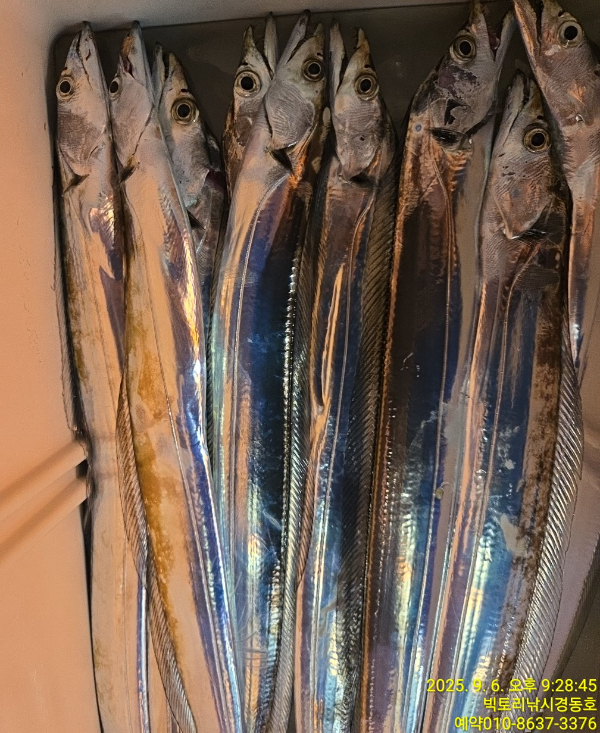 1757161907009.jpg