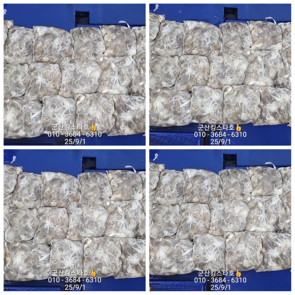 PhotoCollage_1756713496897.jpg