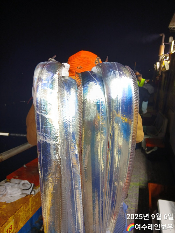♡여수레인보우♡갈치_열기_한치_갑오징어__사진_20250906_4.jpg