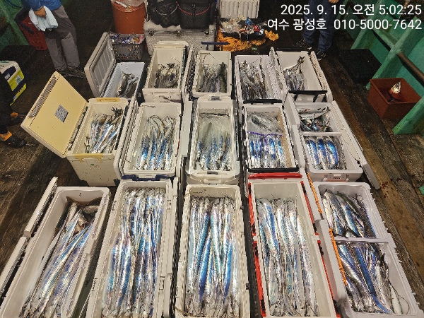 KakaoTalk_20250915_100834010_13.jpg