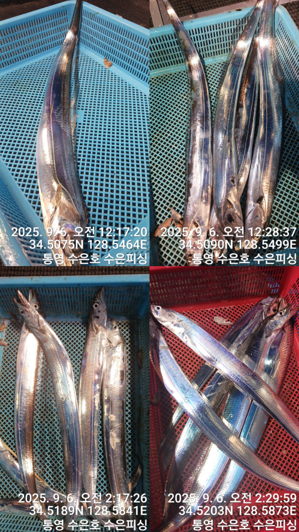 1757107947185-tile.jpg