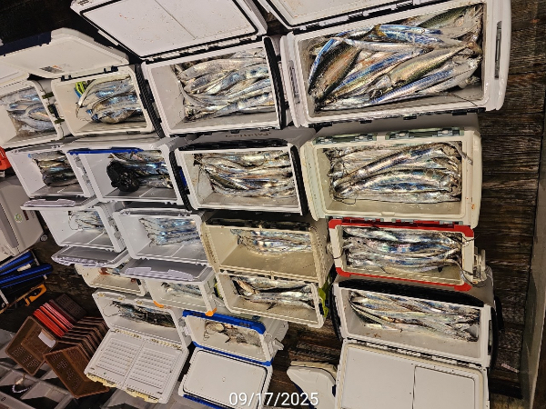 612C3181-FCA6-4036-85E0-30C6F0BFCB36.jpeg