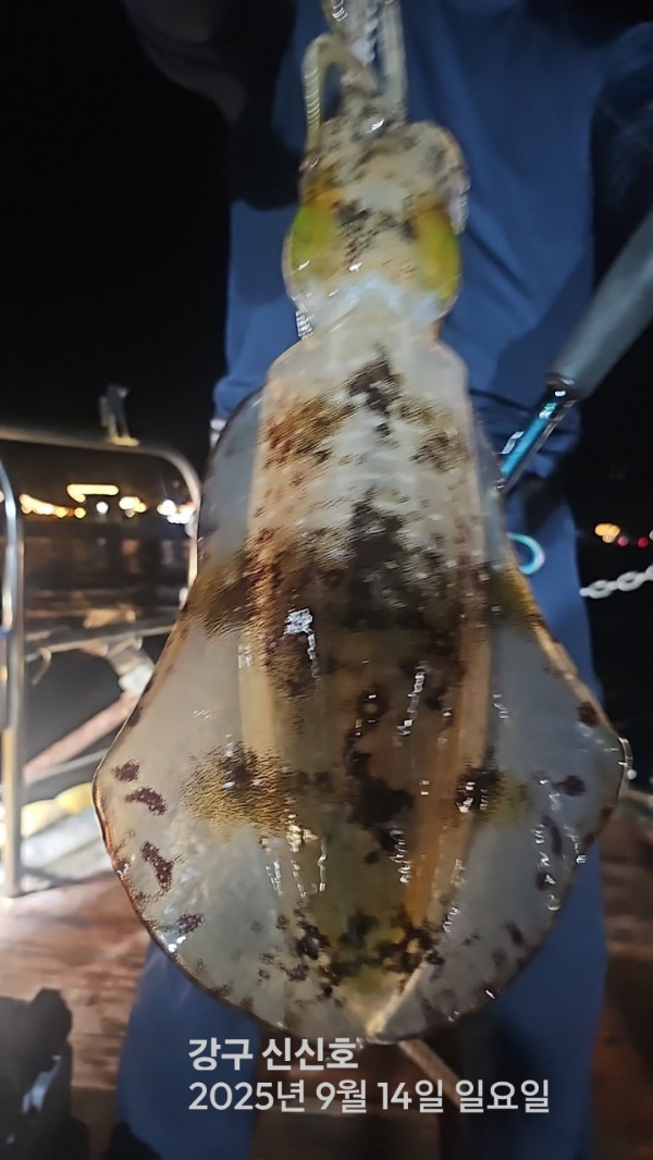 신신낚시 강구점 신신호_사진_20250915_3.jpg