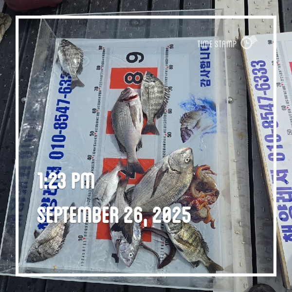 1ab0aea427b063fb4745d4883495d2b7.jpg
