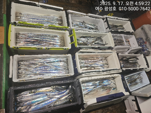 KakaoTalk_20250917_134708005_04.jpg