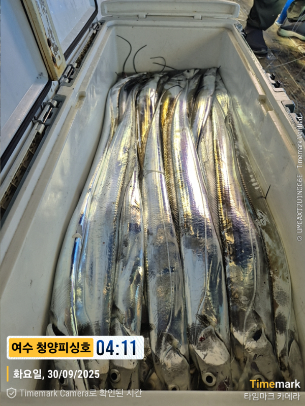 2025-09-30 04.11.06__(제목-여수 청양피싱호).jpg