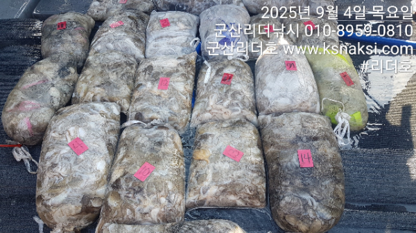 KakaoTalk_20250904_160341330_01.jpg