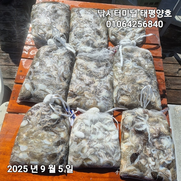1c9d2902bbaa5ecb7438a2942f3937d8.jpg