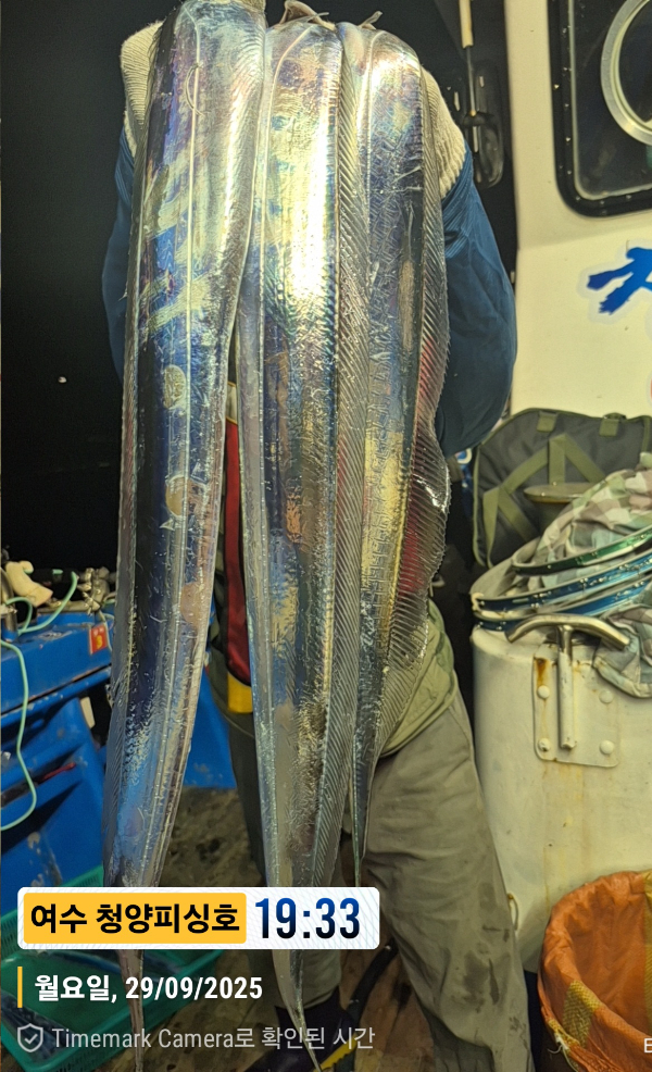2025-09-29 19.33.25__(제목-여수 청양피싱호).jpg