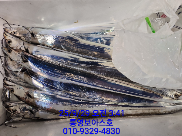 1d381fe6d9a64d5459d39418a4078d5b.jpg