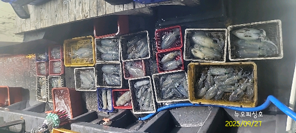 DateCamera0927004134.jpg