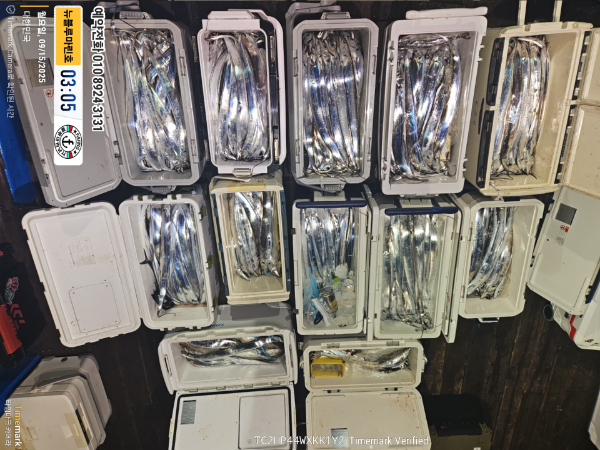 2025-09-15 03.05.22_대한민국_(제목-뉴블루마린호)_(예약전화 010 8924 3131).jpg