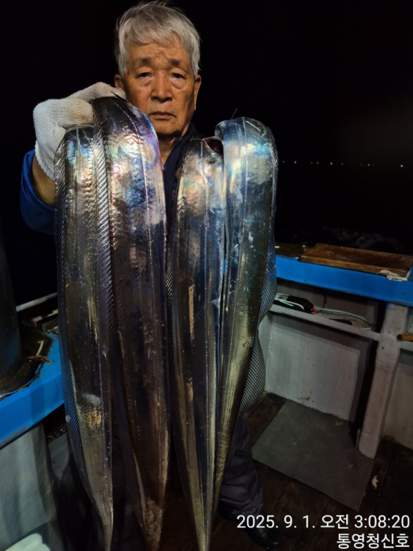 통영청신호입니다_사진_20250901_1.jpg