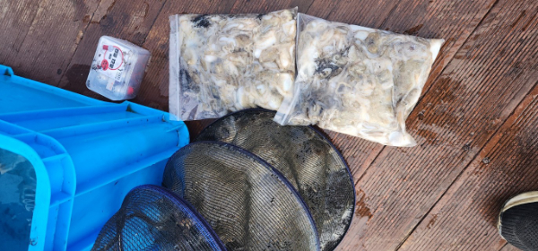 예지퀸호 농어외수질&어초낚시 경기인천권_사진_20250904_12.jpg